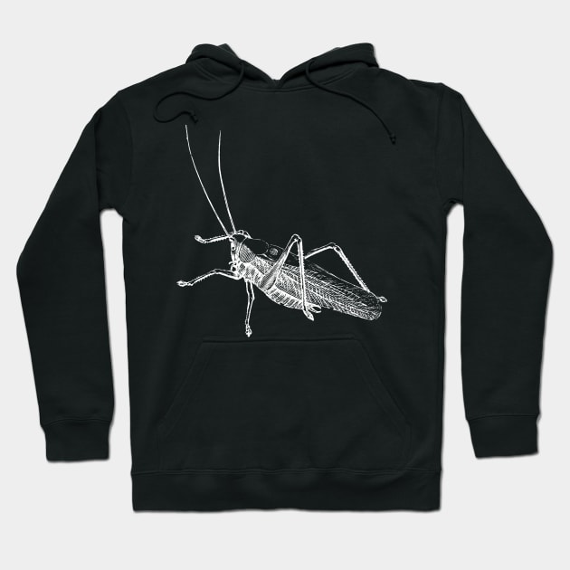 Dramabite Vintage grasshopper illustration Hoodie by dramabite